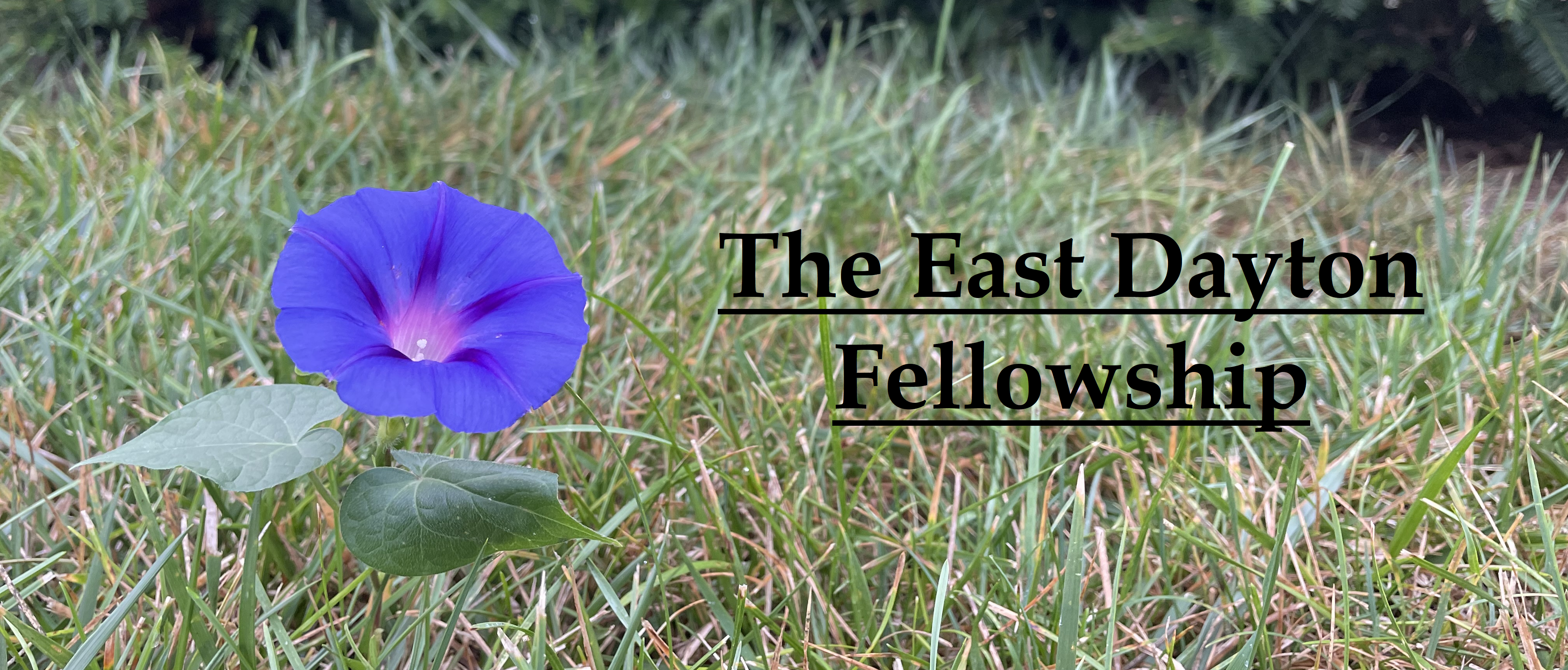 Jesus Hugs, An Angry Neighbor, A Homeless Pianist and Other Moments of Grace