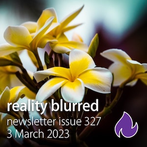 White and yellow flowers, and the words Reality Blurred newsletter issue 327, 3 March 2023
