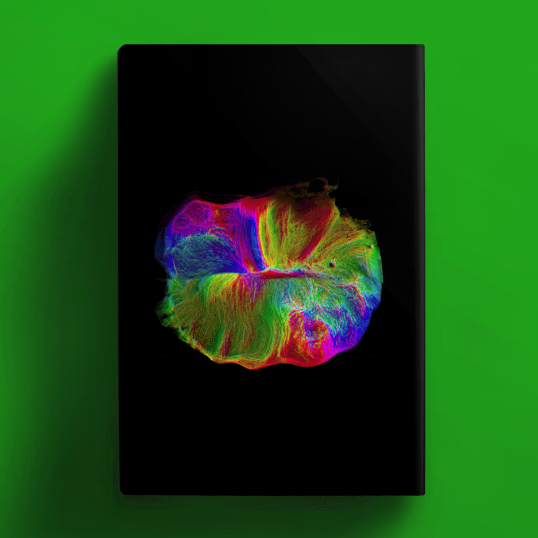 A GIF of the cover of Life's Edge