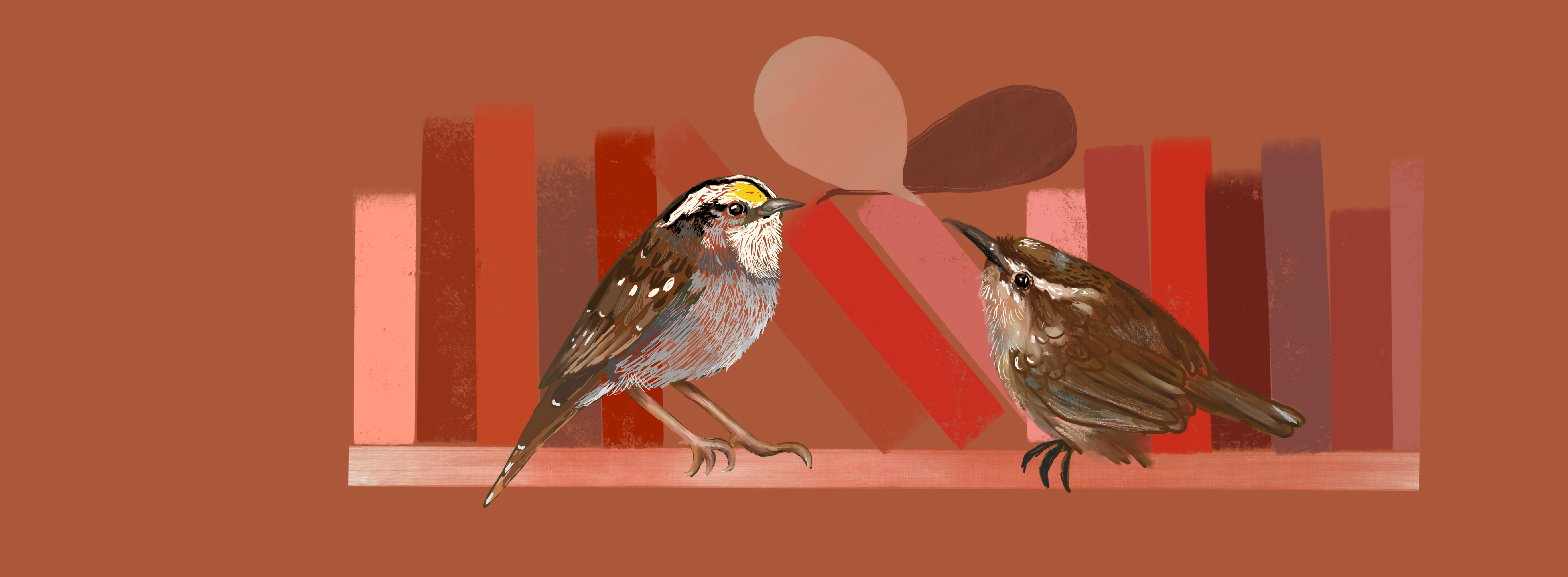 Bird by Bird: Light that light