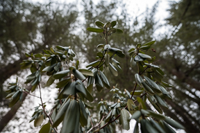 Apparently Every Person In The World Is Sick