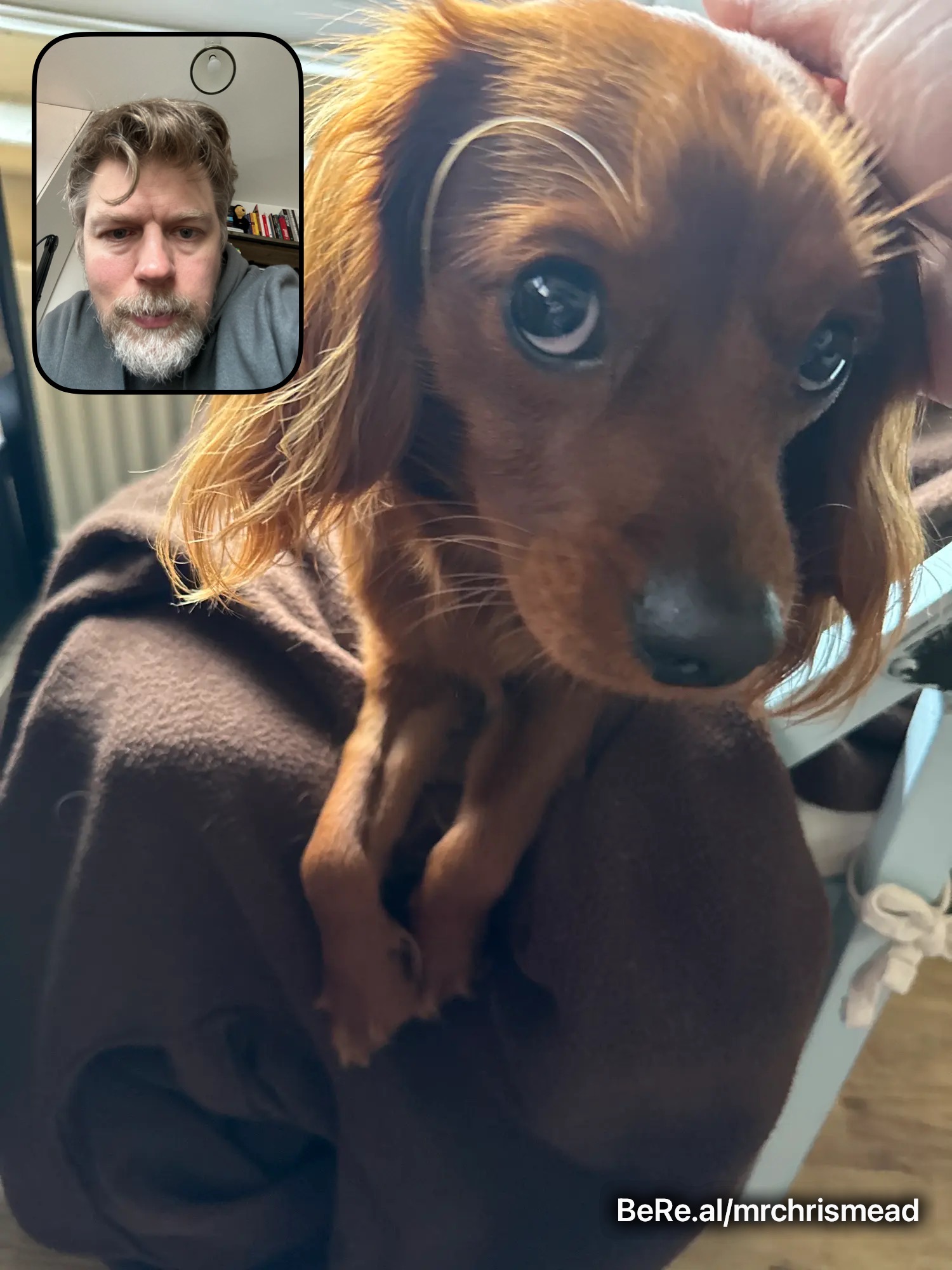 #43 Chris Mead's 2022