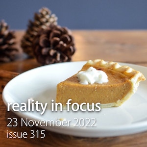 Pumpkin pie! It's Reality in Focus issue 315