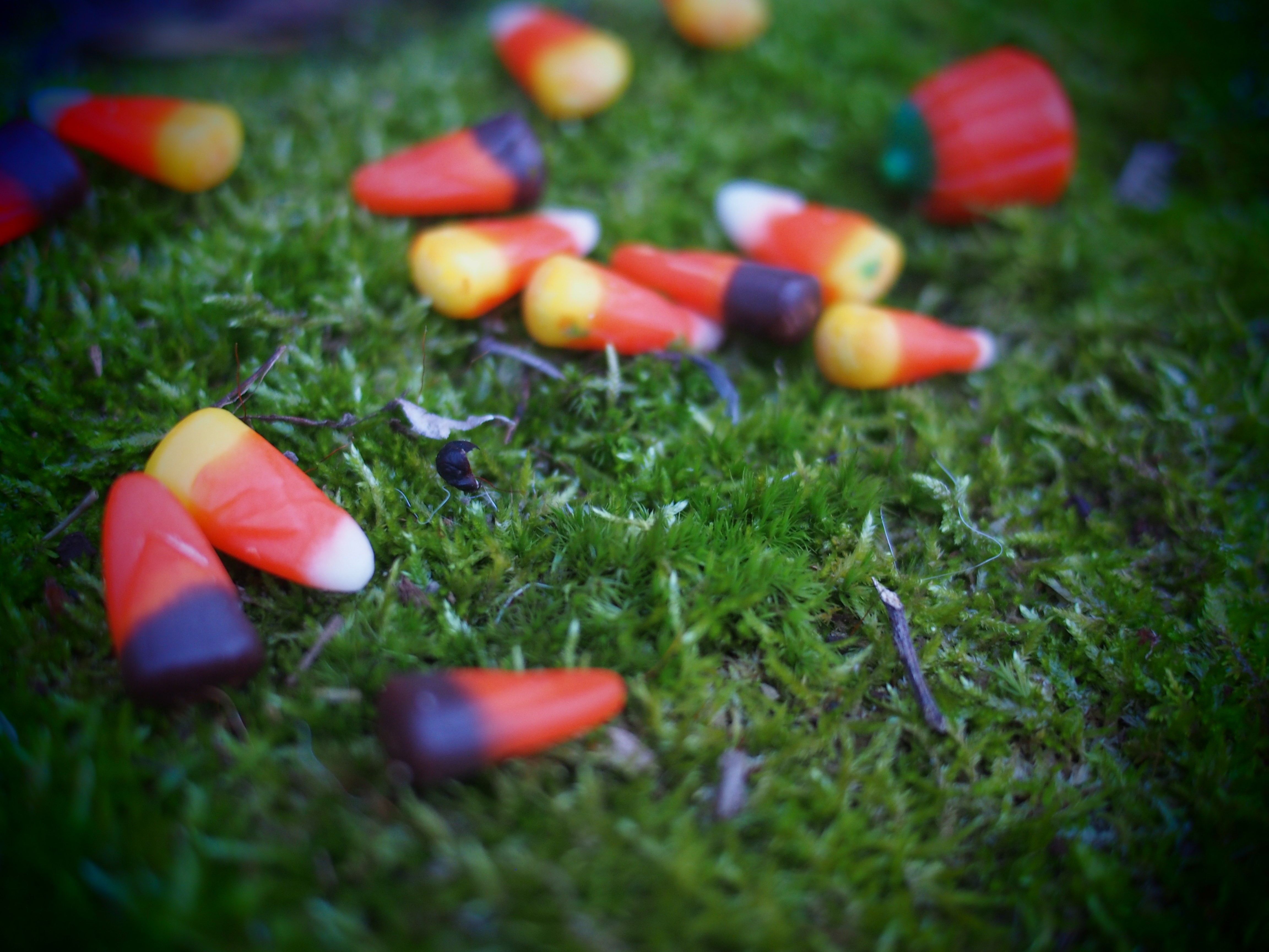 Welcome to Dropped Candy, Infrequent Newsletter of Writer Phoebe Sinclair