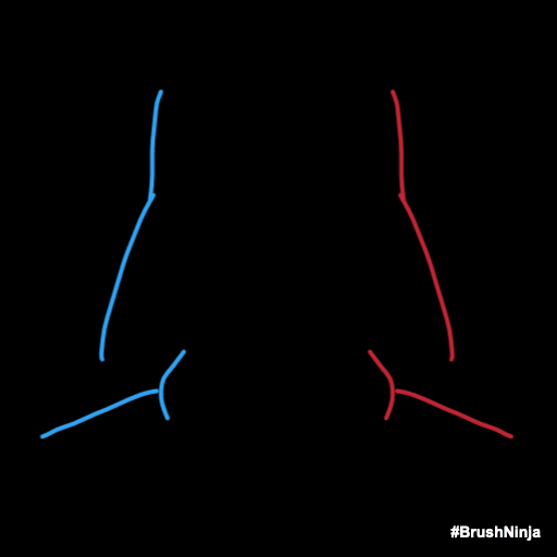 Darth Vader Animation made with Brush Ninja