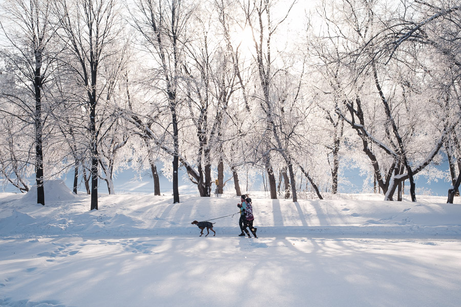 03 - Joggers against a frosty treeline