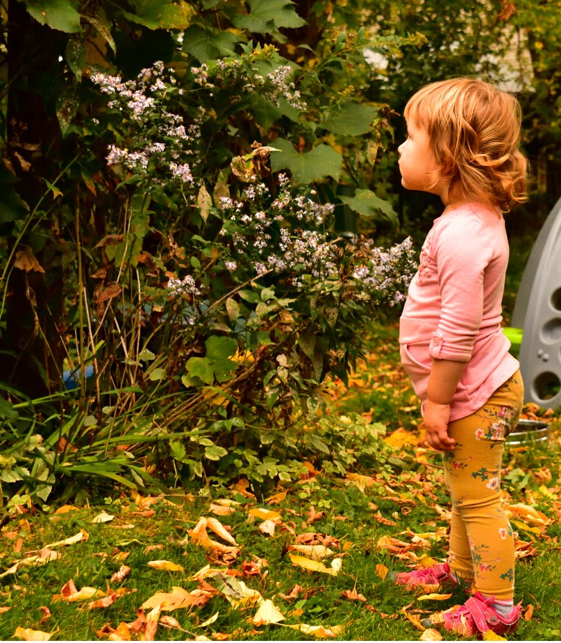 volume up? (r/l/D #5)