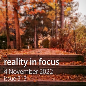 Fall leaves: Reality in Focus issue 313