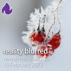 Red flowers with ice on them — reality blurred newsletter issue 325, 10 February 2023