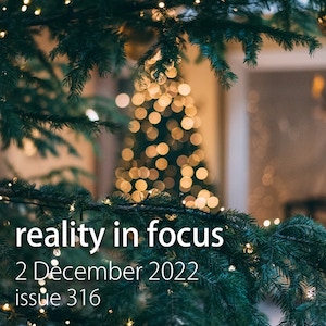 A tree with lights - Reality in Focus 316, 2 December 2022