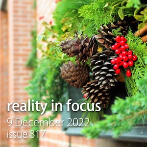 Holiday greenery on a brick wall - Reality in Focus 317, 9 December 2022