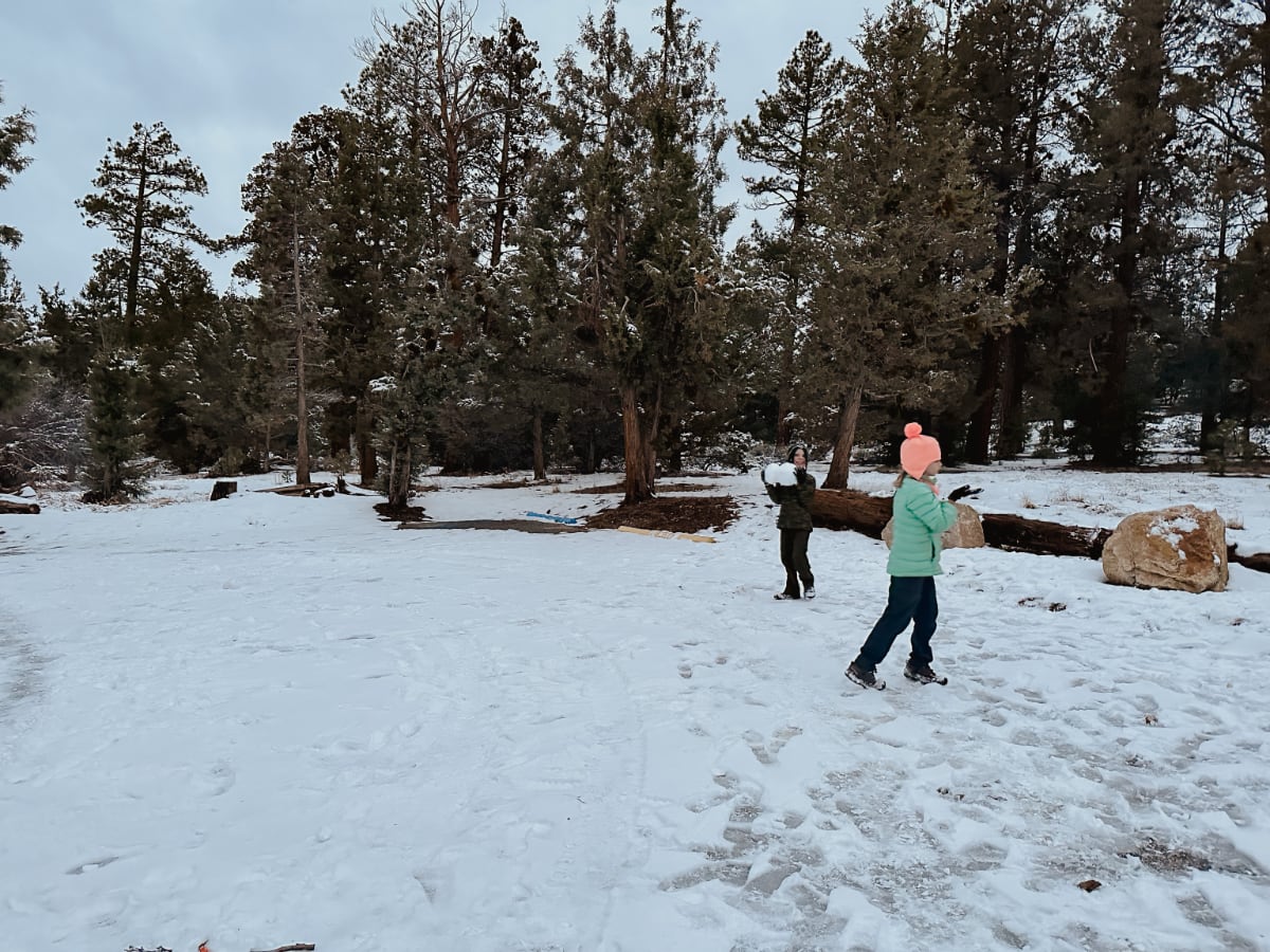 snow1.jpg