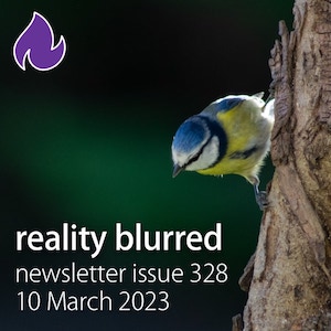 A blue and yellow bird on the side of a tree looking down at the words "reality blurred newsletter issue 328, 10 March 2023"