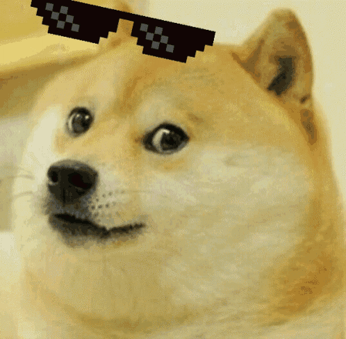 A gif of a Shiba Inu looking at the camera with big eyes. Some basic pixel art sunglasses fall from the top of the frame to cover its eyes, and the text “Deal With It” appears at the bottom of the image.
