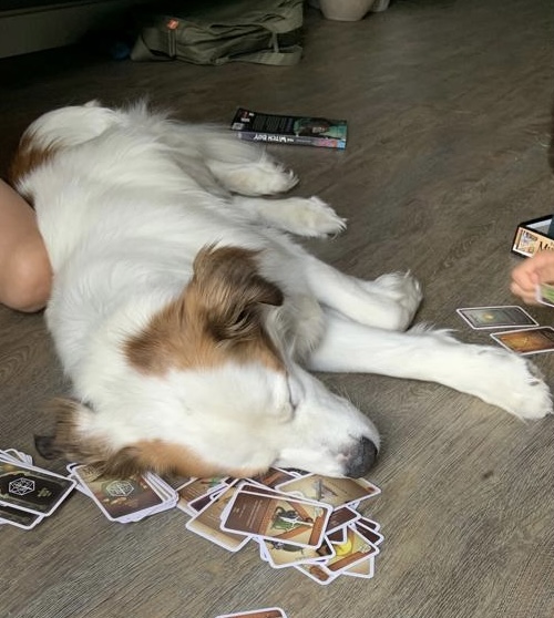 Raspberries and robots