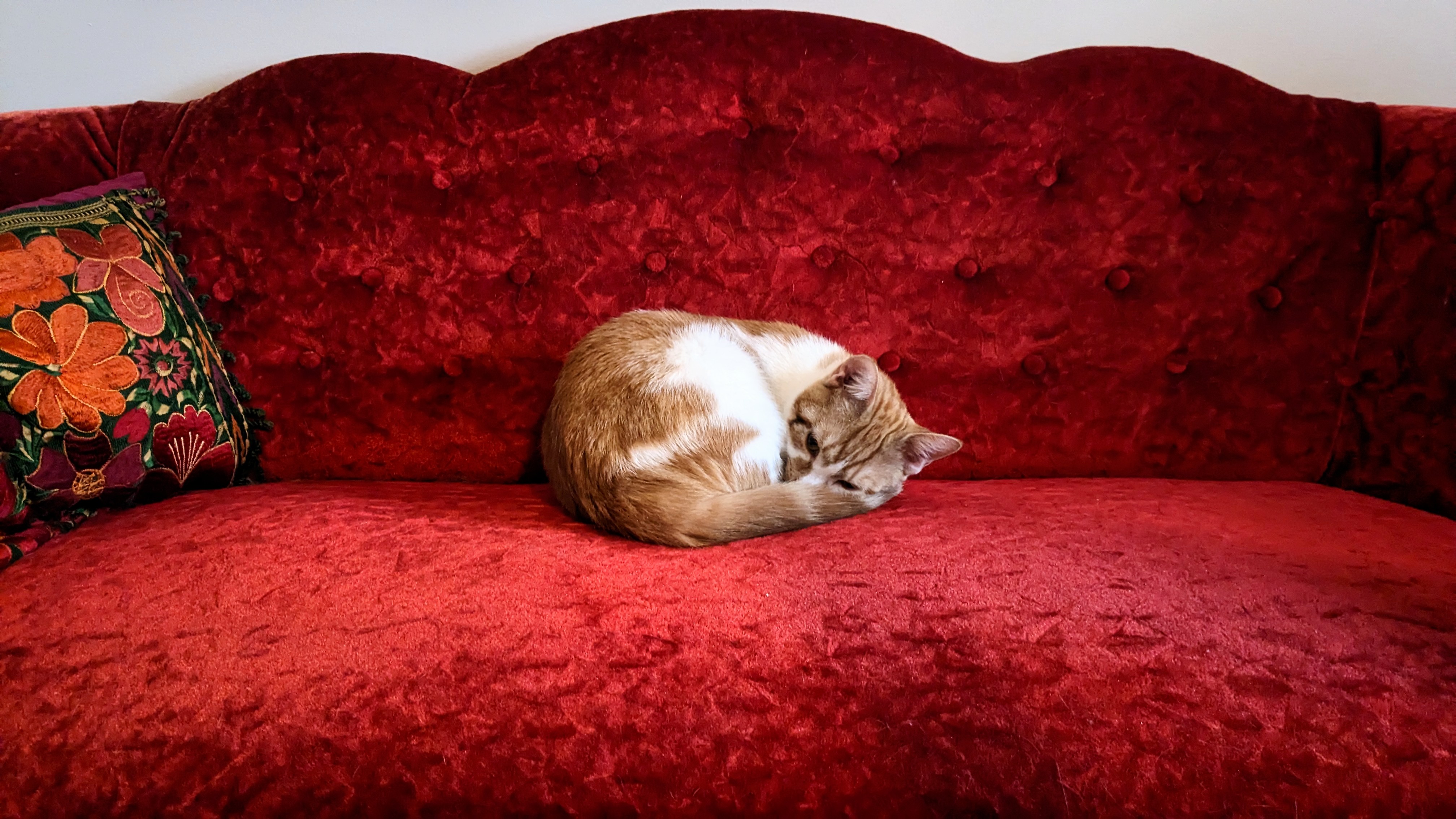 Book & Bramble - January 2023