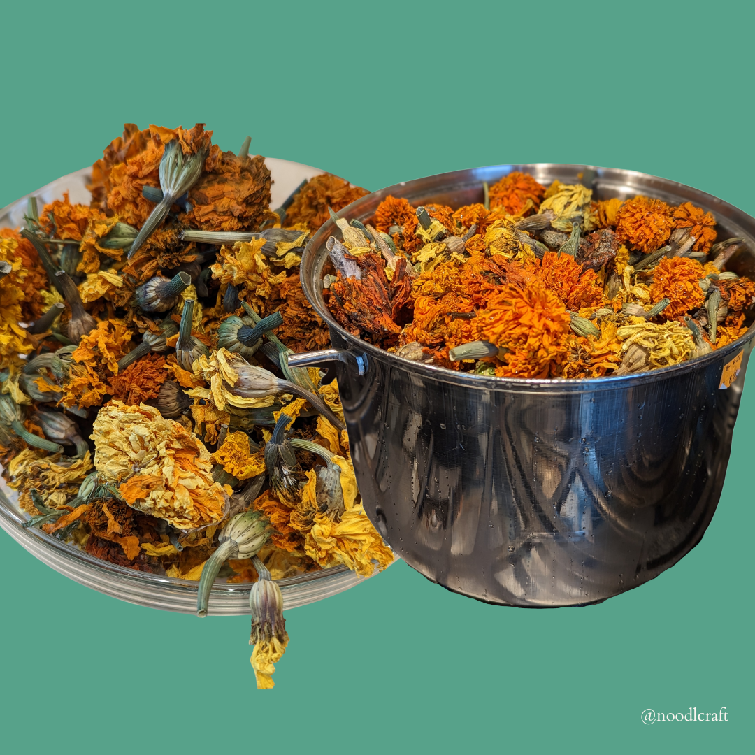 Dried marigolds in two vessels, waiting to be covered in water to pull out the natural colorants.
