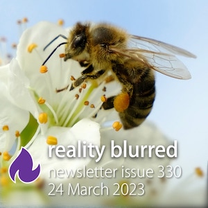 GIF: A bee on a white flower, with the text "reality blurred, newsletter issue 330, 24 March 2023"